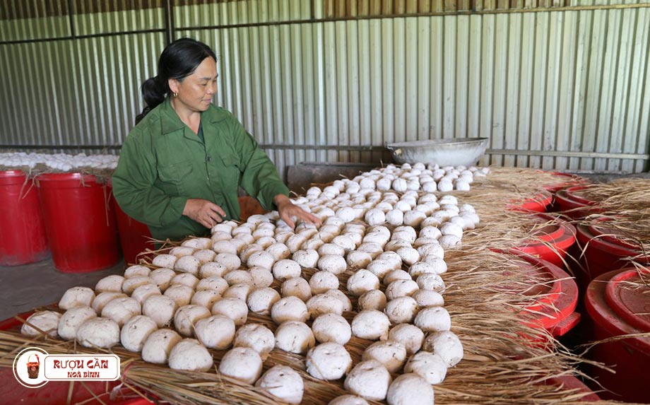 Men lá làm rượu cần